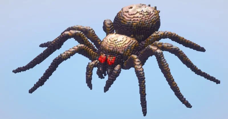 Spider - Image 2