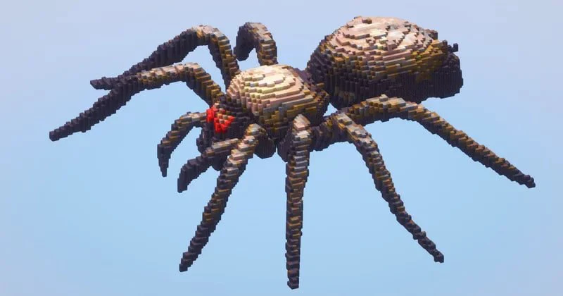 Spider - Image 3