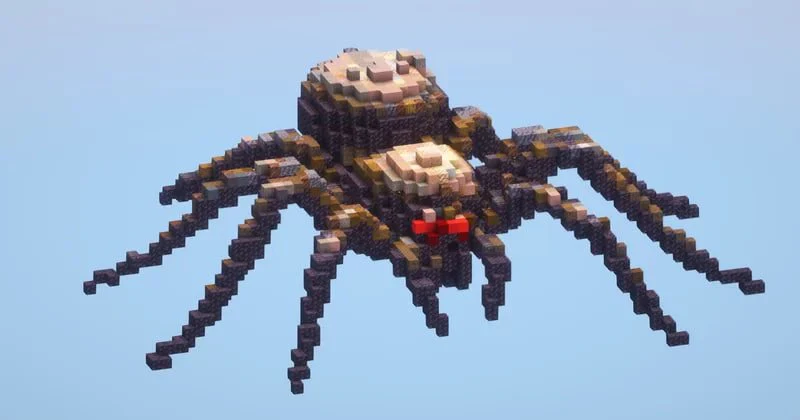 Spider Small - Image 2