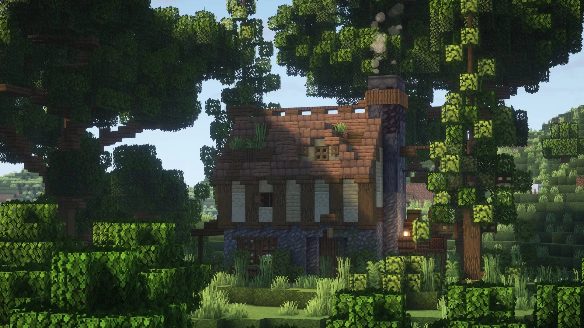 Starter Home - Image 2