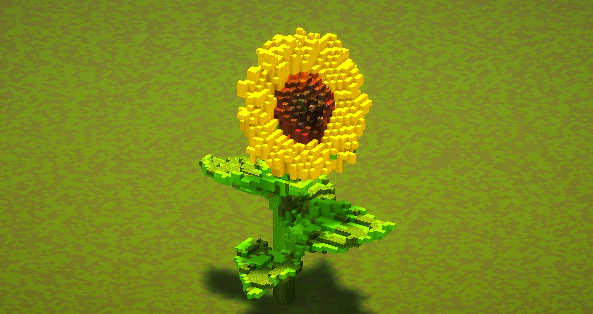 Sunflower - Image 2