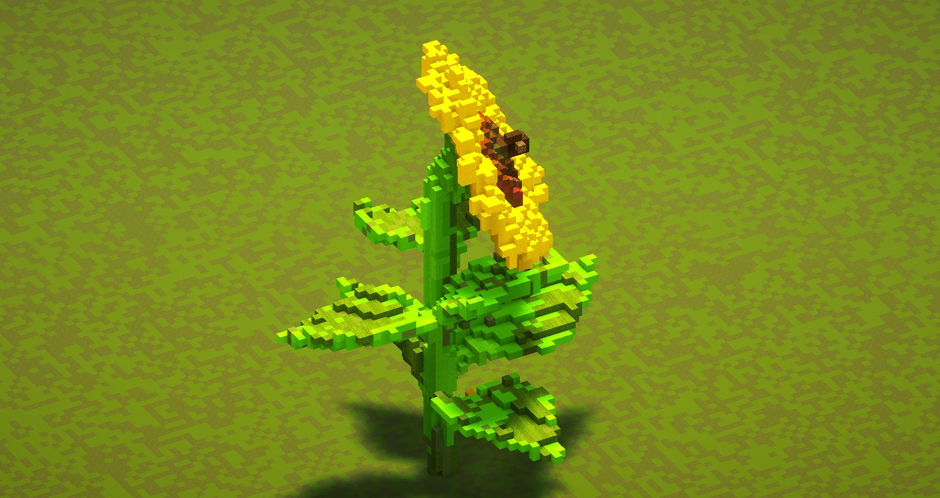 Sunflower - Image 3